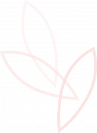 Flower Graphic Outline